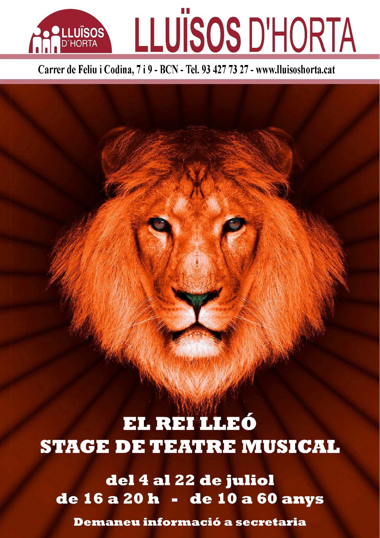 Stage de Teatre Musical